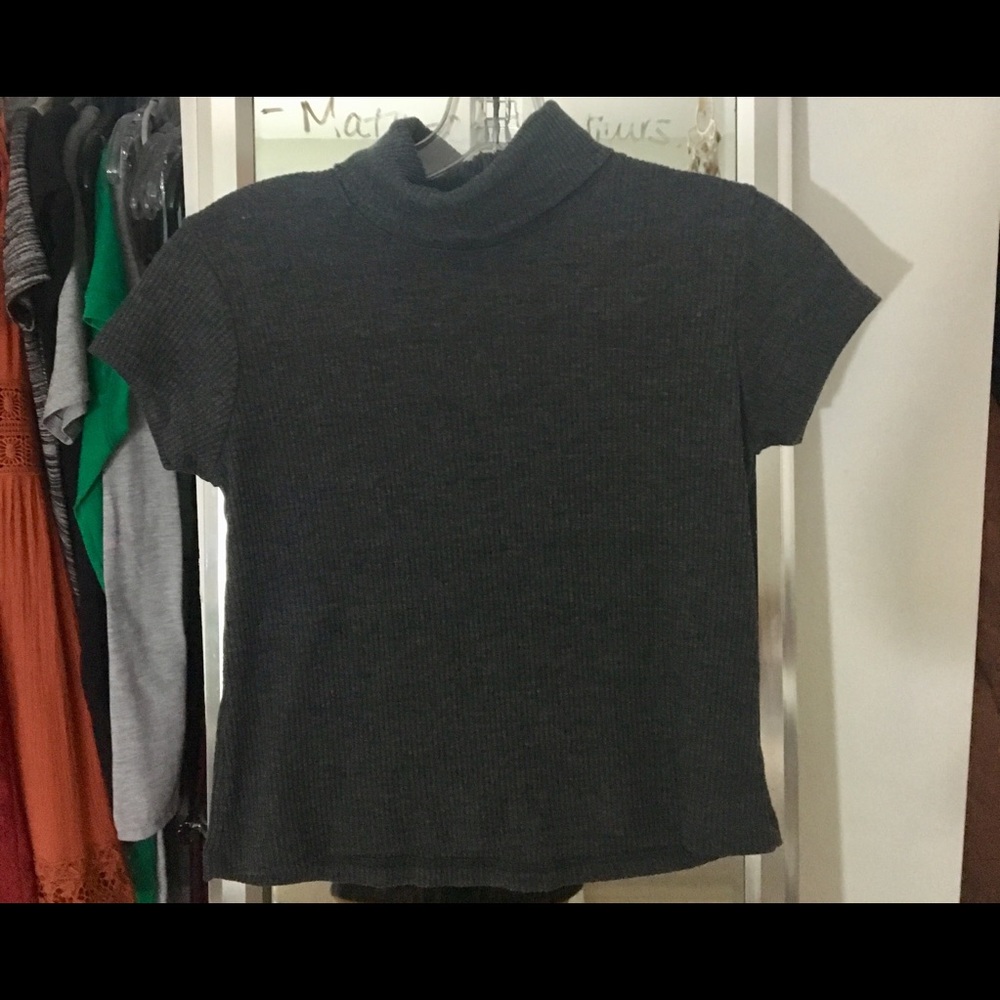 Cropped ribbed gray pacsun turtleneck